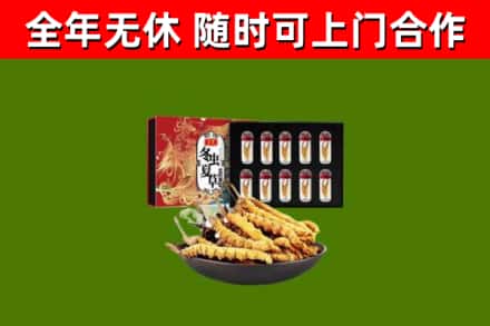 库尔勒回收冬虫夏草价格